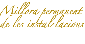 Millora permanent de les intal·lacions