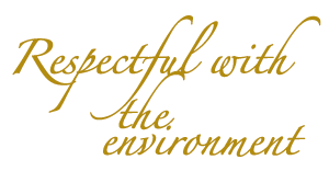 Respectful with the environment