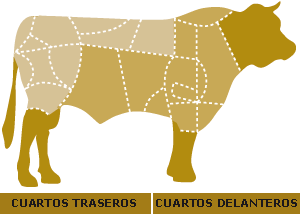 Quartos de vaca