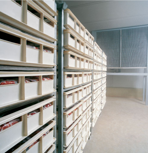 logistica