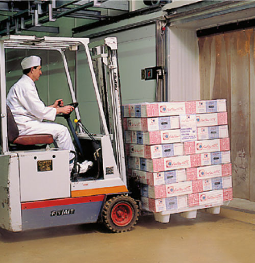 logistica