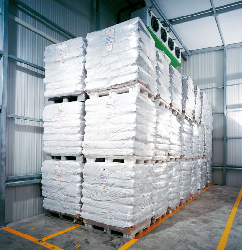 logistica